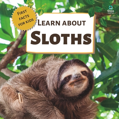 Learn About Sloths