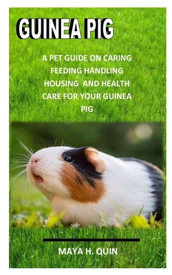 Guinea Pig