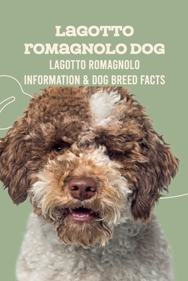 Lagotto Romagnolo Dog